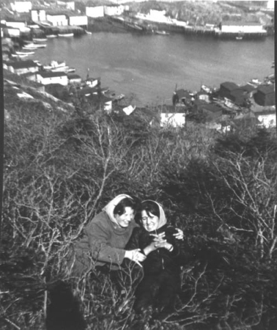 343: Looking down on the harbour, with Rose Norman and Jenny Kerrivan in the foreground.  (circa 1966) [courtesy of Mary (Barry) Bruce]  - Rose daughter of Michael Norman &amp;amp; Elizabeth Counsel; Jenny daughter of Joseph Kerrivan &amp;amp; Madeline Bennett